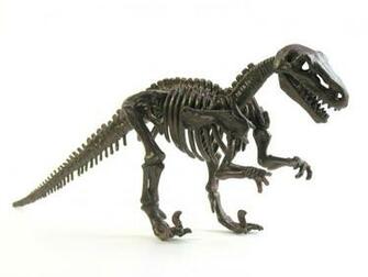 Dinosaur Skeleton High Resolution HD Wallpaper Of Wild Animal