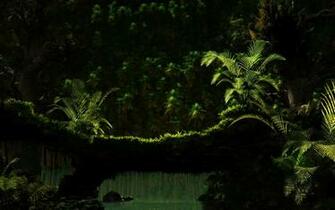 Jungle Wallpaper And Image Pictures Photos