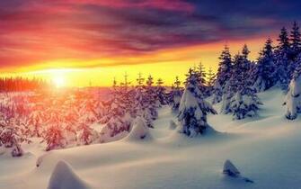 Winter Sunset With Snow 4k Ultra HD Wallpaper