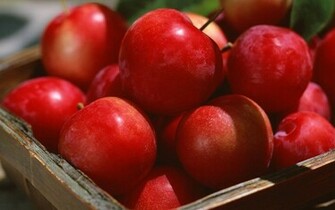 Apple Seductive Wallpaper HD S