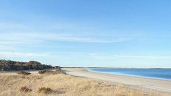A Nantucket Backdrop For Zoom Conservation Foundation