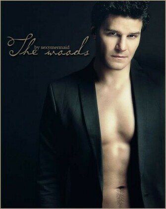 David Boreanaz Wallpaper Background Theme Desktop