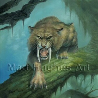 Saber Tooth Tiger By Matthughes