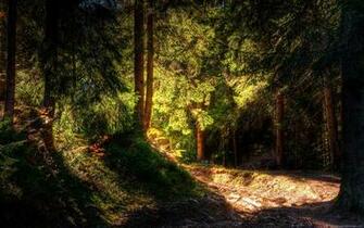 Nature Wallpaper HD Widescreen Image Desktop Background