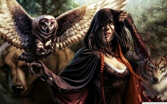 Women Animals Magic The Gathering Long Hair Corset Fantasy Art Owls