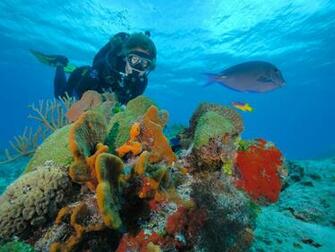 Texan Scuba Lessons The Woodlands Texas HD Wallpaper