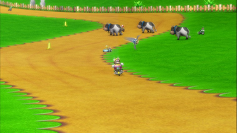 Explore The Collection Mario Kart Wii
