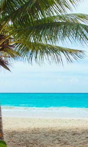 Beach Wallpaper App For Android