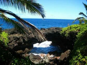Hawaii Black Sand Beach By Tocheeba