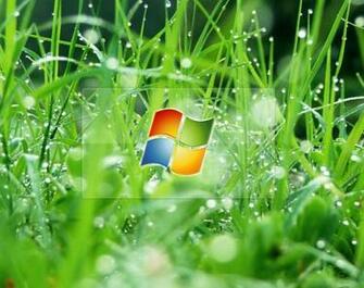 Microsoft Vista Official Wallpaper Pack