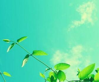 Nexus Wallpaper HD Beautiful Stunning