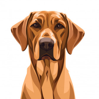 Dog Art Wallpaper