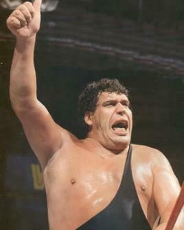Andre The Giant Winner Wwe Superstars Wallpaper