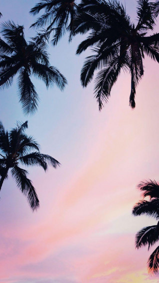 Beautiful Summer Wallpaper For iPhone