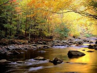 Lakes National Park Reflections Great Smoky Mountains Wallpaper