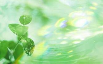 HD Widescreen Wallpaper Superb Nature Desktop