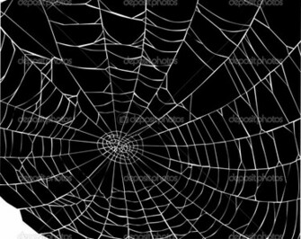Facts Funny Stuff About Animals Nature Spider Web Background Black
