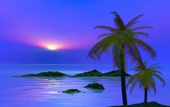 Palm Tree Wallpaper HD