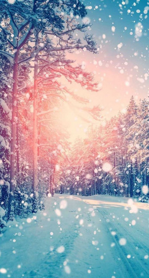 Winter Background Wallpaper Discover More Aesthetic