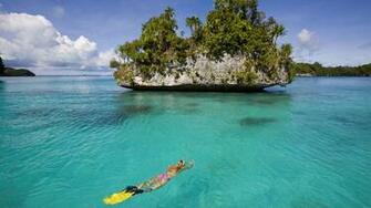 Snorkeling HD Wallpaper Background Image Id