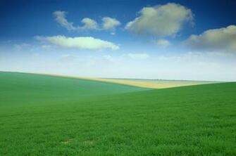 Green Field Dell Wallpaper High Resolution Definition