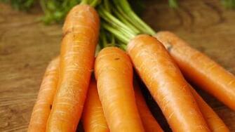 HD Carrot Wallpaper Best Pictures Collection