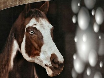 Paint Horse File Vettoriale