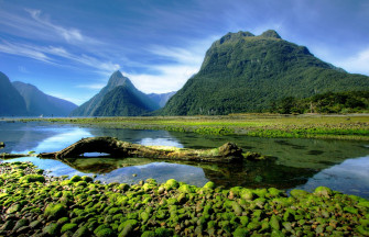 Landscape Photography Nature Mountains Moss Milford Sound Fjord Wallpaper