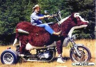 Rednecks Hey Dude Grab Your Beer And Check Out These