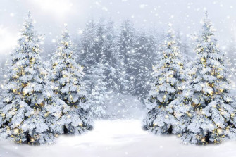 Amazon Christmas Backdrop Yeele Winter Wonderland