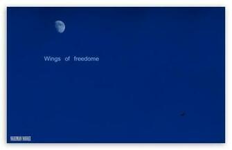 Wings Of Dom HD Wallpaper For Standard Fullscreen Uxga Xga
