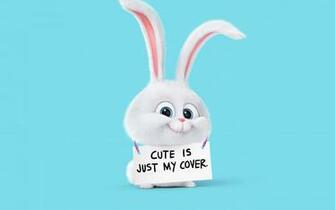 The Secret Life Of Pets Snowball HD Wallpaper IHD