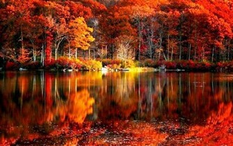 Fall Foliage River Autumn Red Lake Reflections Shore Beautiful