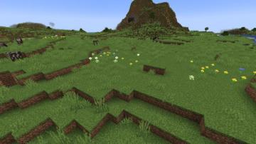 Plains Minecraft Wiki