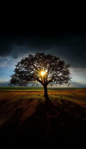 Landscape Orientation Wallpaper New Best Nature