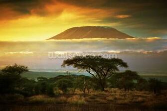 Mount Kilimanjaro Wallpaper X Net