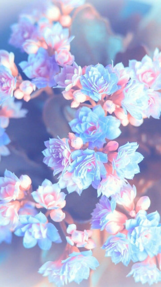 Create A Peaceful And Calming Atmosphere With This Pastel