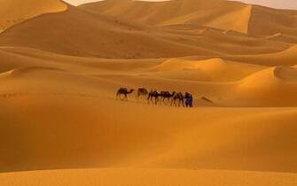 Sahara Wallpaper