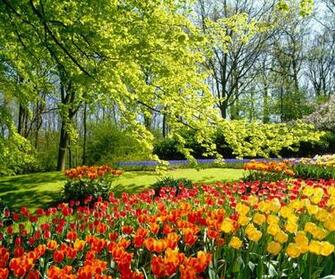 Awesome Spring Wallpaper Screensaver Pre Id