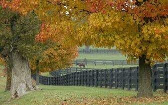 Fence Wallpaper Desktop