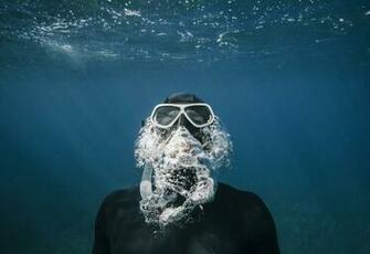 Diver Pictures Image