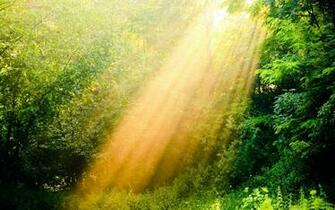 Sunshine Wallpaper