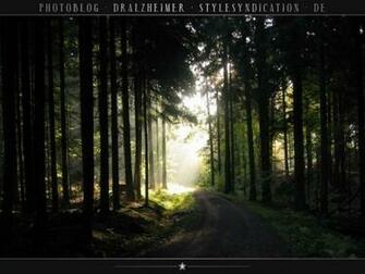 Light My Path In Hoher Auflsung Herunterladen Desktop Wallpaper