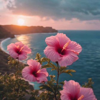 Hibiscus Aesthetic Wallpaper