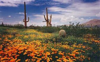 Byron Neslen Fine Art Photography