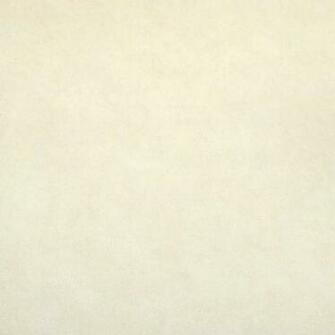 Off White Background Photo