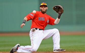 Dustin Pedroia Background Net