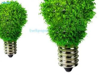 Go Green Wallpaper