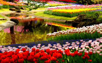 Garden Wallpaper