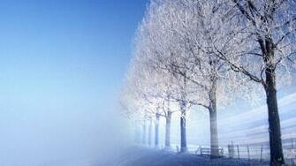 Nature Winter Wallpaper Snow Trees